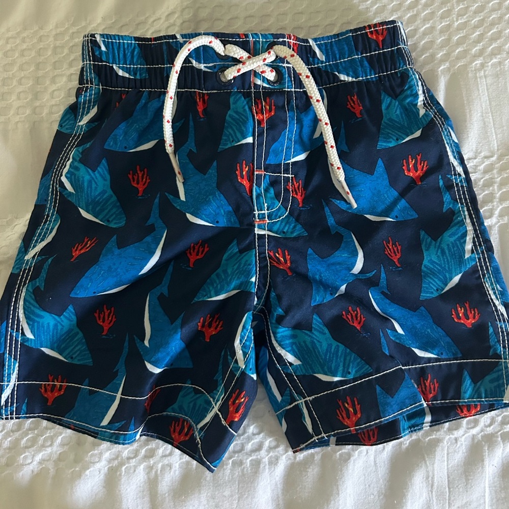 Baby Gap Size 2T boys swimsuit